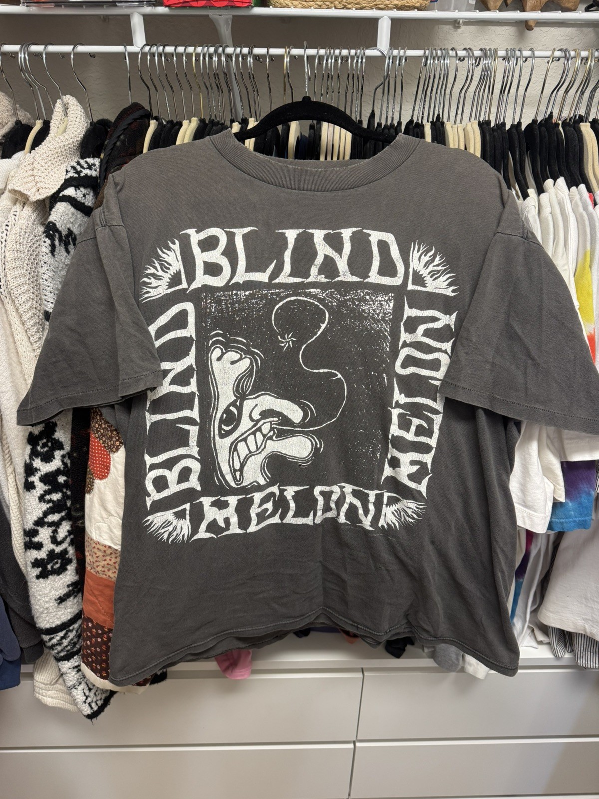 Blind Melon — Crammed In A Van Tour